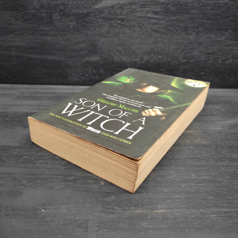 Son of a Witch - Gregory Maguire รูปที่ 4
