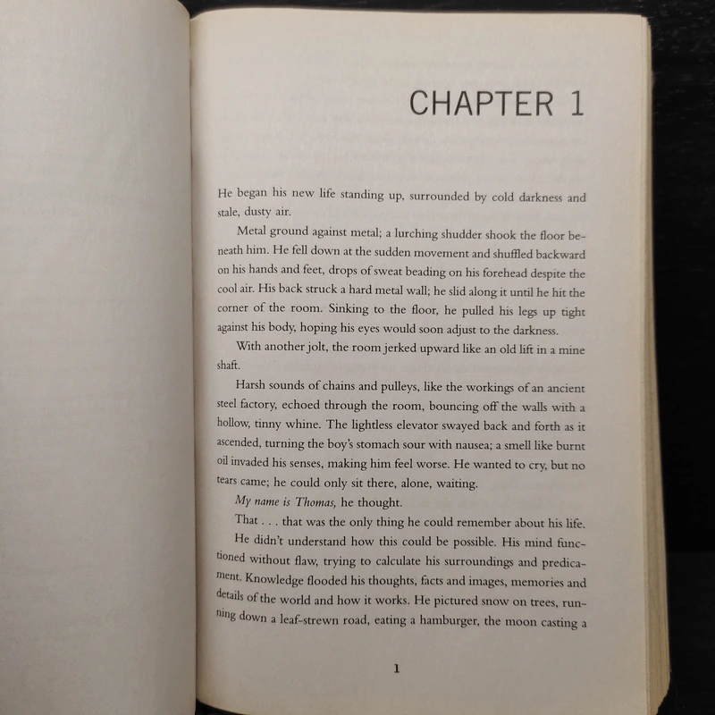 The Maze Runner 3 Books - James Dashner รูปที่ 5
