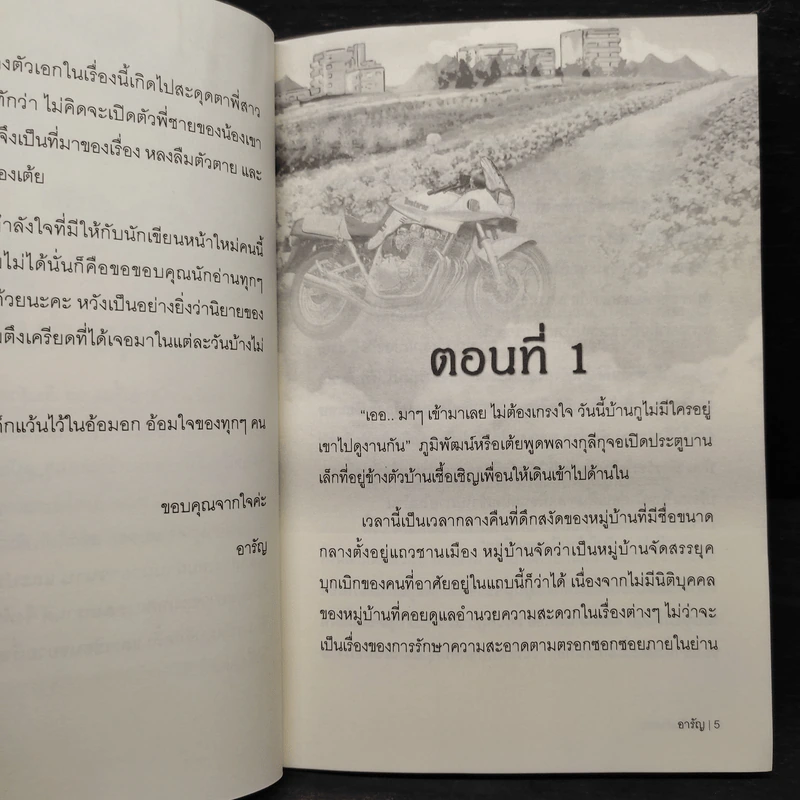 หลงลืมตัวตาย - อารัญ รูปที่ 6