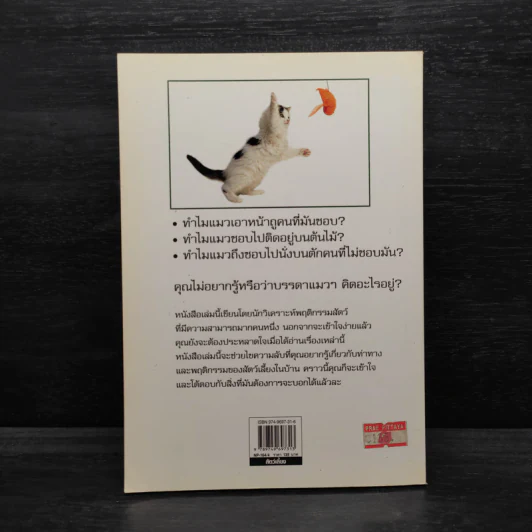 รู้ไหมแมวคิดอะไรอยู่? - Gwen Bailey รูปที่ 2