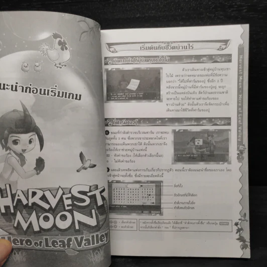 Harvest Moon Hero of Leaf Valley บทสรุปเฉลยเกม PSP รูปที่ 6
