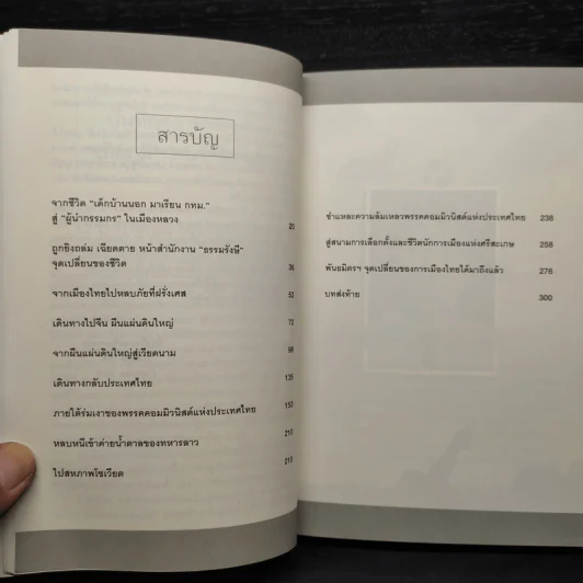 เทิดภูมิคนรักแผ่นดิน - เทิดภูมิ ใจดี รูปที่ 6