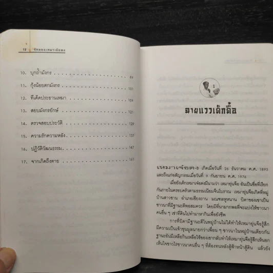 รักของเหมาเจ๋อตง - สุขสันต์ วิเวกเมธากร รูปที่ 8