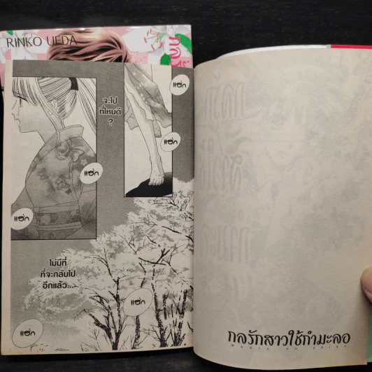 กลรักสาวใช้กำมะลอ 2 เล่มจบ รูปที่ 7