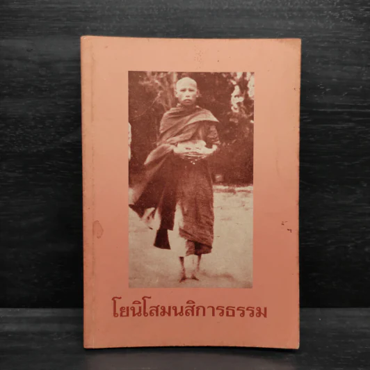 โยนิโสมนสิการธรรม รูปที่ 1