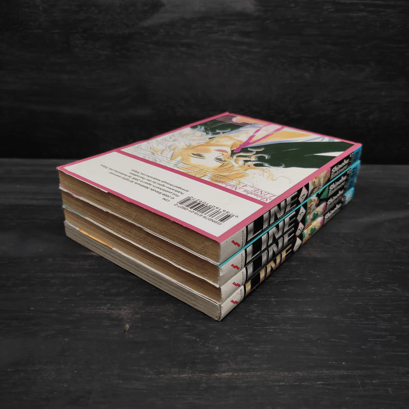 Line หนุ่มละอ่อนอ้อนรักสาวเก๋ เล่ม 1-4 รูปที่ 4