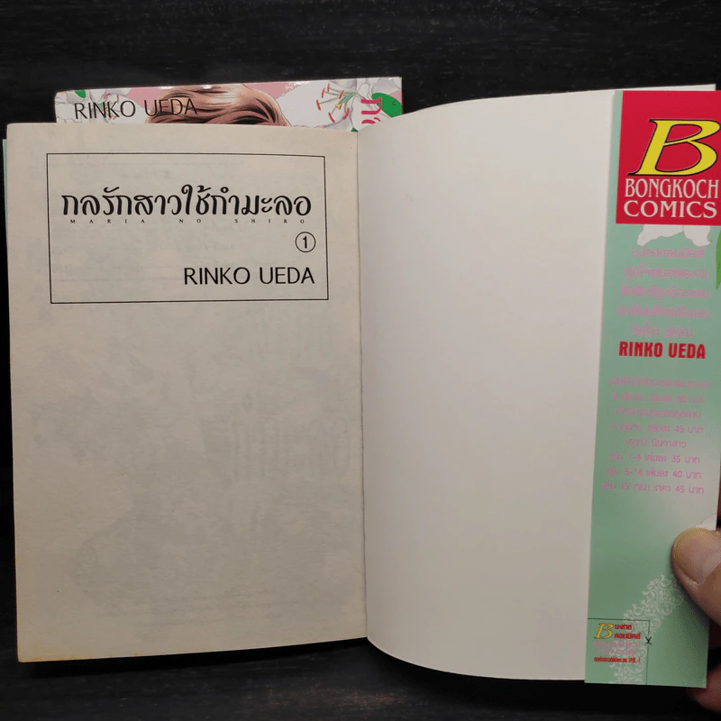 กลรักสาวใช้กำมะลอ 2 เล่มจบ รูปที่ 6