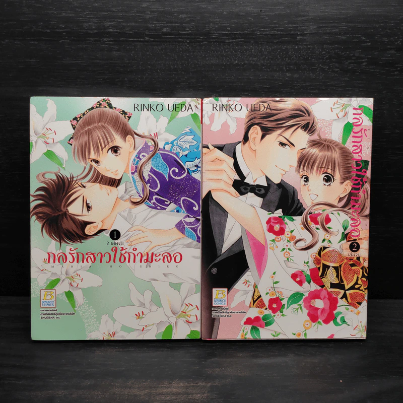 กลรักสาวใช้กำมะลอ 2 เล่มจบ รูปที่ 1