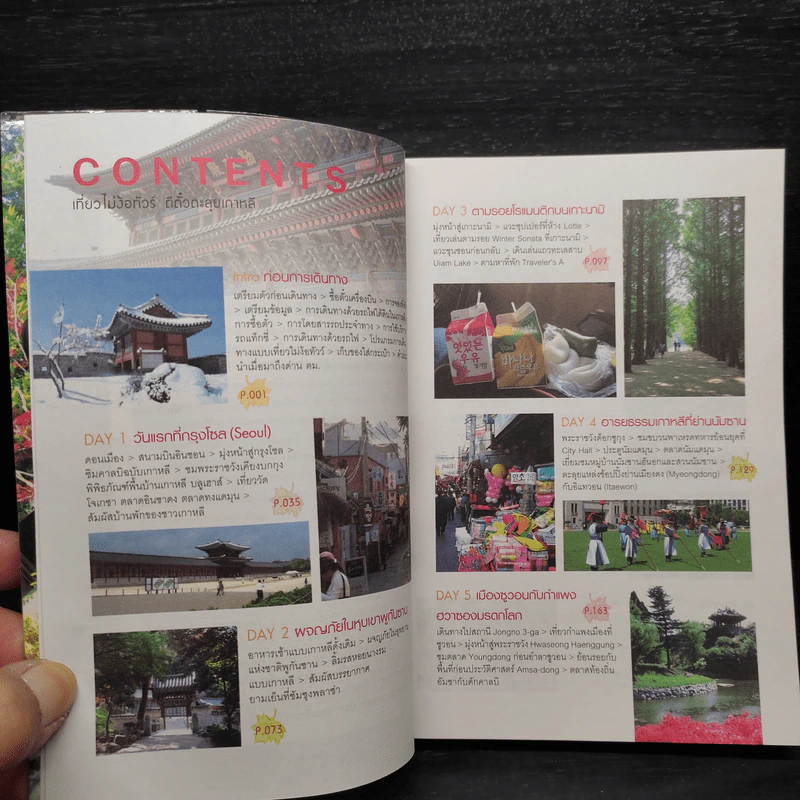 เที่ยวไม่ง้อทัวร์ ตีตั๋วตะลุย เกาหลี รูปที่ 6