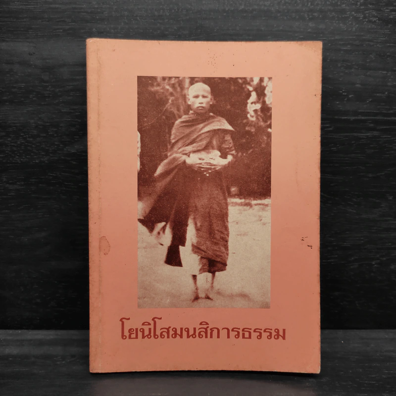 โยนิโสมนสิการธรรม รูปที่ 1