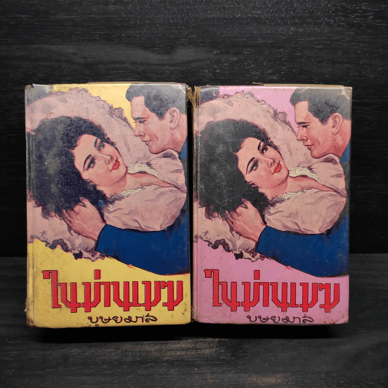 ในม่านเมฆ 2 เล่มจบ - บุษยมาส รูปที่ 1