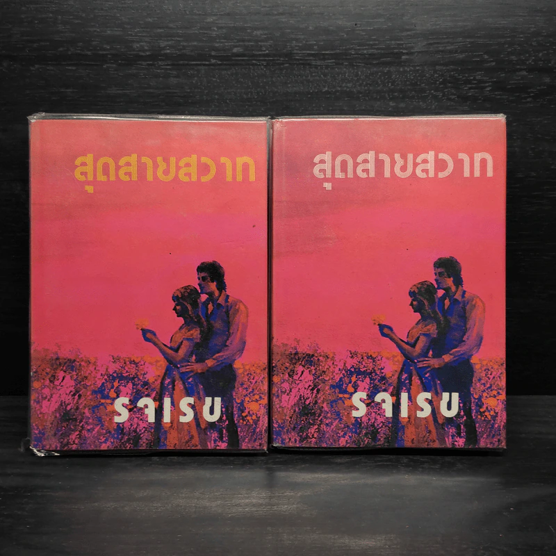 สุดสายสวาท 2 เล่มจบ - รจเรข รูปที่ 1