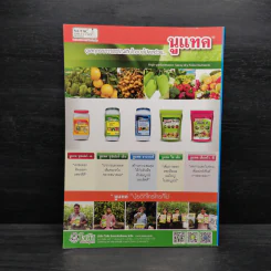 การปลูกพืชแบบสวนคุณลี - ทวีศักดิ์ ชัยเรืองยศ รูปที่ 2