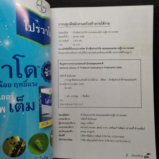 การปลูกพืชผักสวนครัวสร้างรายได้งาม - ทวีศักดิ์ ชัยเรืองยศ รูปที่ 5