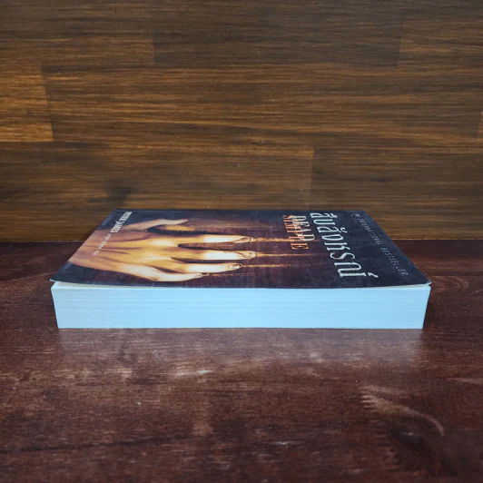 สืบสังหรณ์ Dead Simple - Peter James รูปที่ 3