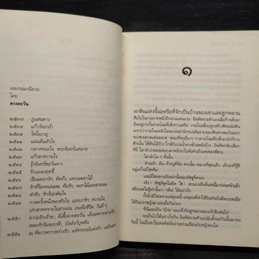 เอลันตรา - ดวงตะวัน รูปที่ 6