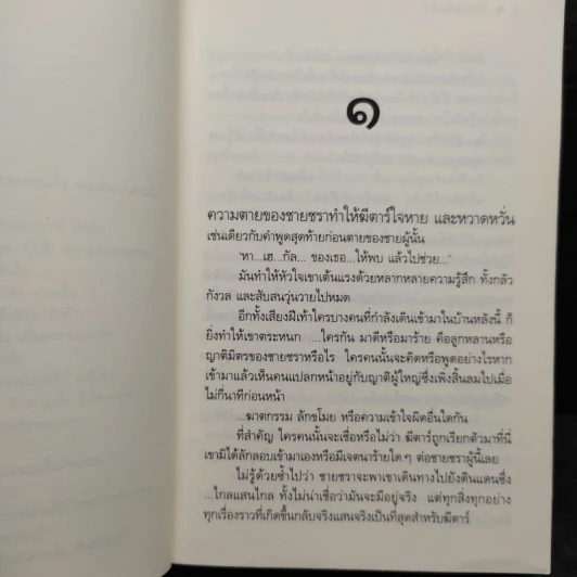 ทิพย์แห่งรัก - ดวงตะวัน รูปที่ 7