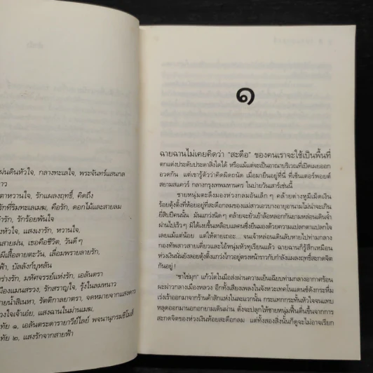 รักแผลงฤทธิ์ - ดวงตะวัน รูปที่ 6