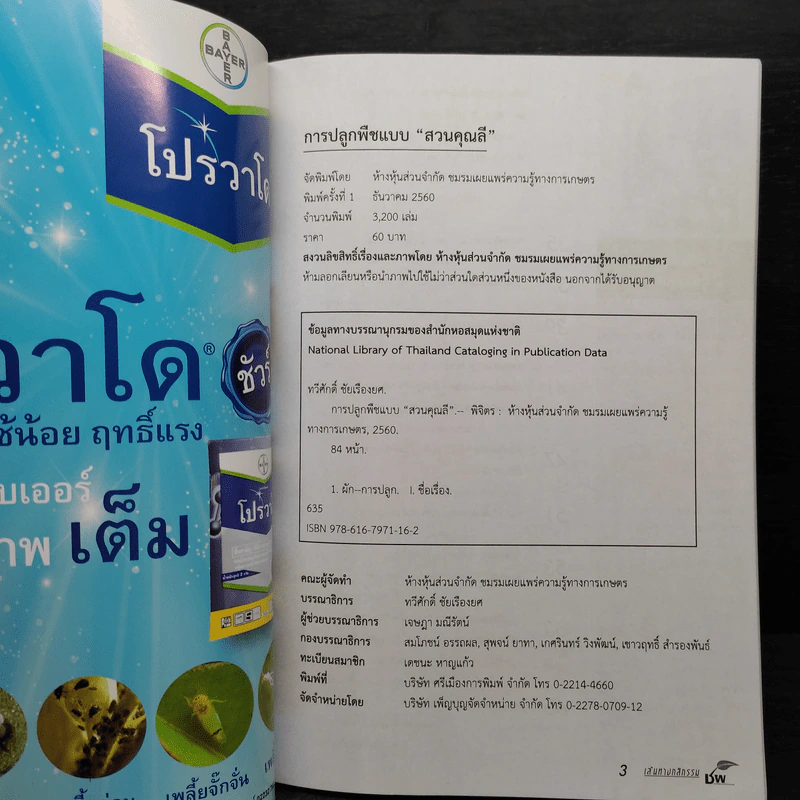 การปลูกพืชแบบสวนคุณลี - ทวีศักดิ์ ชัยเรืองยศ รูปที่ 5