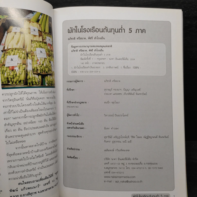 ผักในโรงเรือน ต้นทุนต่ำ 5 ภาค รูปที่ 5