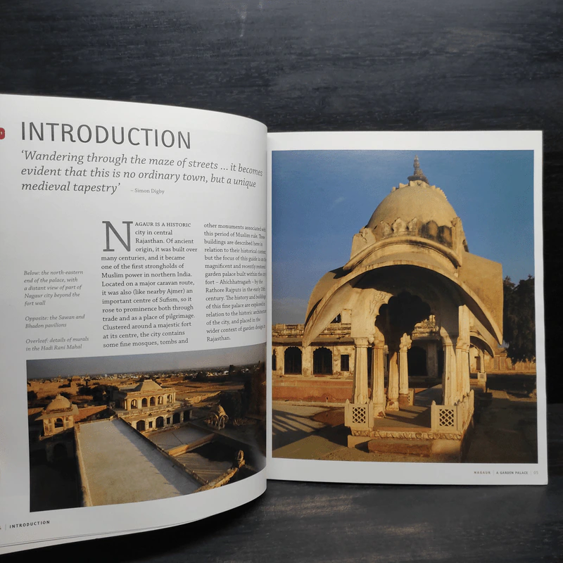 Nagaur : A Garden Palace in Rajasthan รูปที่ 6