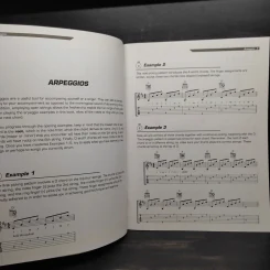 Beyond Basics: Fingerstyle Guitar รูปที่ 6