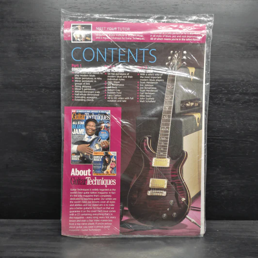 Play Guitar Modern Blues รูปที่ 2
