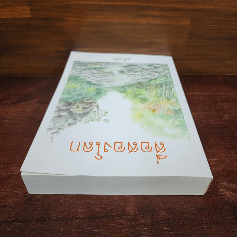 สื่อสองโลก - แก้วเก้า รูปที่ 5