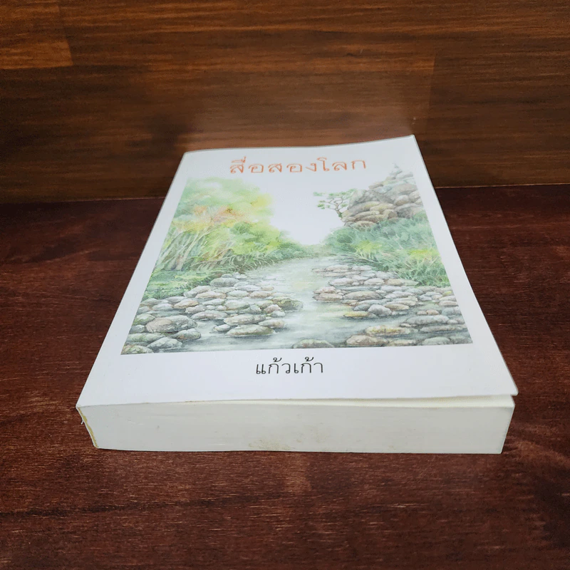สื่อสองโลก - แก้วเก้า รูปที่ 4