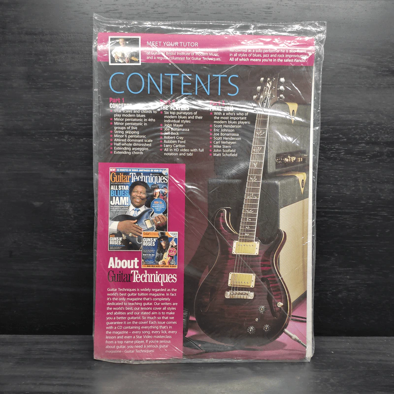 Play Guitar Modern Blues รูปที่ 2