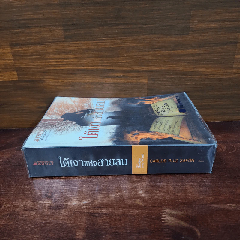 ใต้เงาแห่งสายลม : The Shadow of the Wind - Carlos Ruiz Zafon (การ์โลส รุยซ์ ซาฟอง) รูปที่ 2