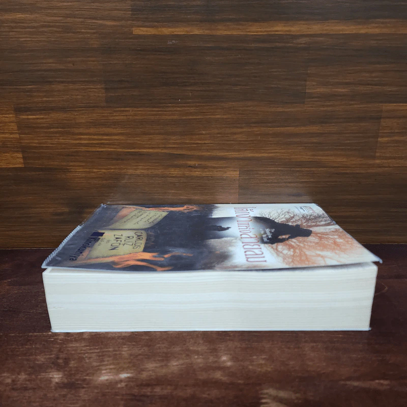 ใต้เงาแห่งสายลม : The Shadow of the Wind - Carlos Ruiz Zafon (การ์โลส รุยซ์ ซาฟอง) รูปที่ 3