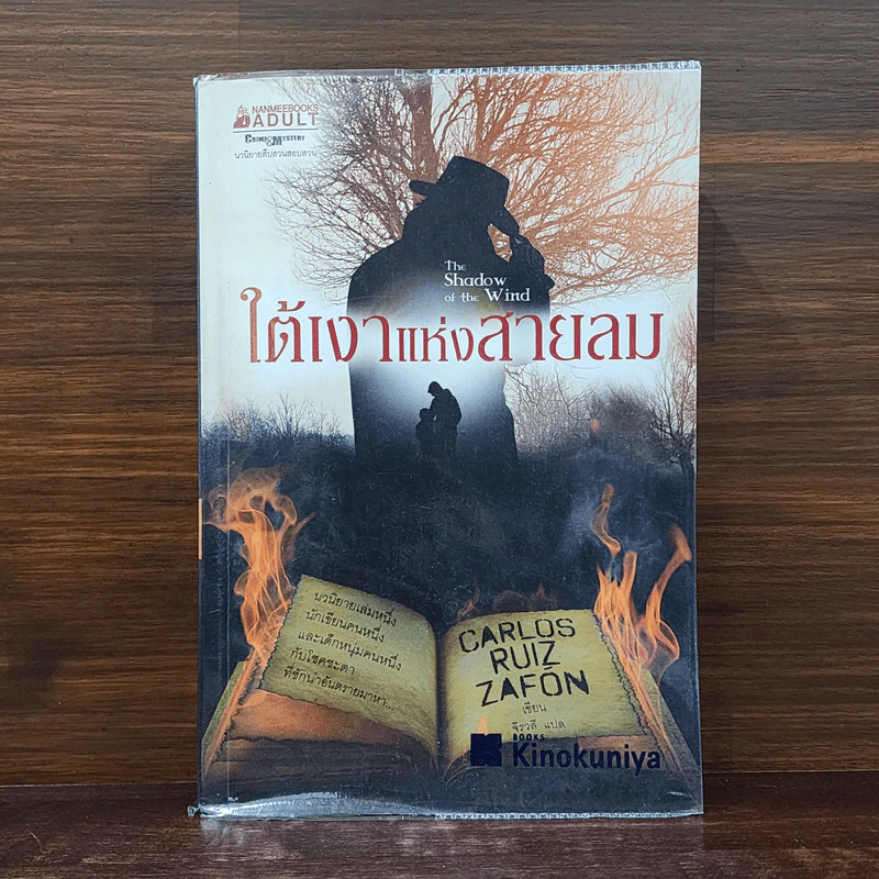 ใต้เงาแห่งสายลม : The Shadow of the Wind - Carlos Ruiz Zafon (การ์โลส รุยซ์ ซาฟอง) รูปที่ 1