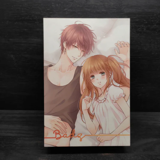 Box Set Boy For Rent (Badz + Sexy) + สมุดโน๊ต + โปสการ์ด - เจ้าหญิงผู้เลอโฉม รูปที่ 2