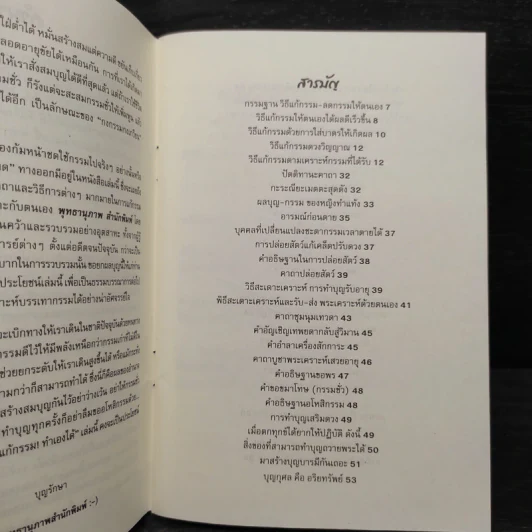 แก้กรรม! ทำเองได้ - จิตศรัทธา พุทธานุภาพ รูปที่ 6