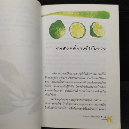 บ้านเล็ก สวนใหญ่ คุณยายที่รัก - กริ่มกมล มหัทธนวิศัลย์ รูปที่ 6