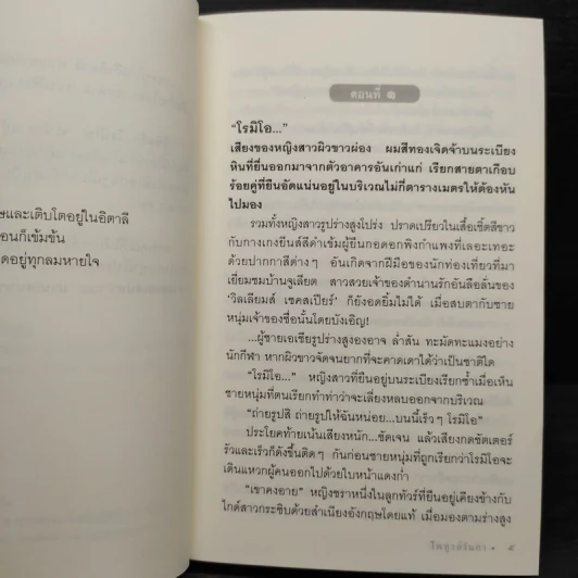 ลิขิตรัก...โรมิโอ - ไพฑูรย์รัมกา รูปที่ 6