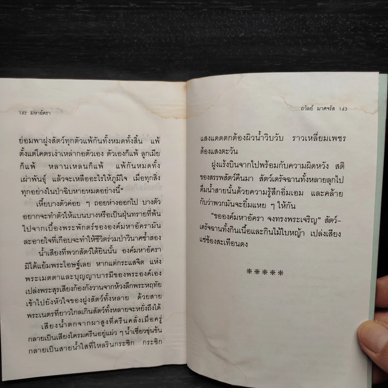 มหาอัครา - ถวัลย์ มาศจรัส รูปที่ 8