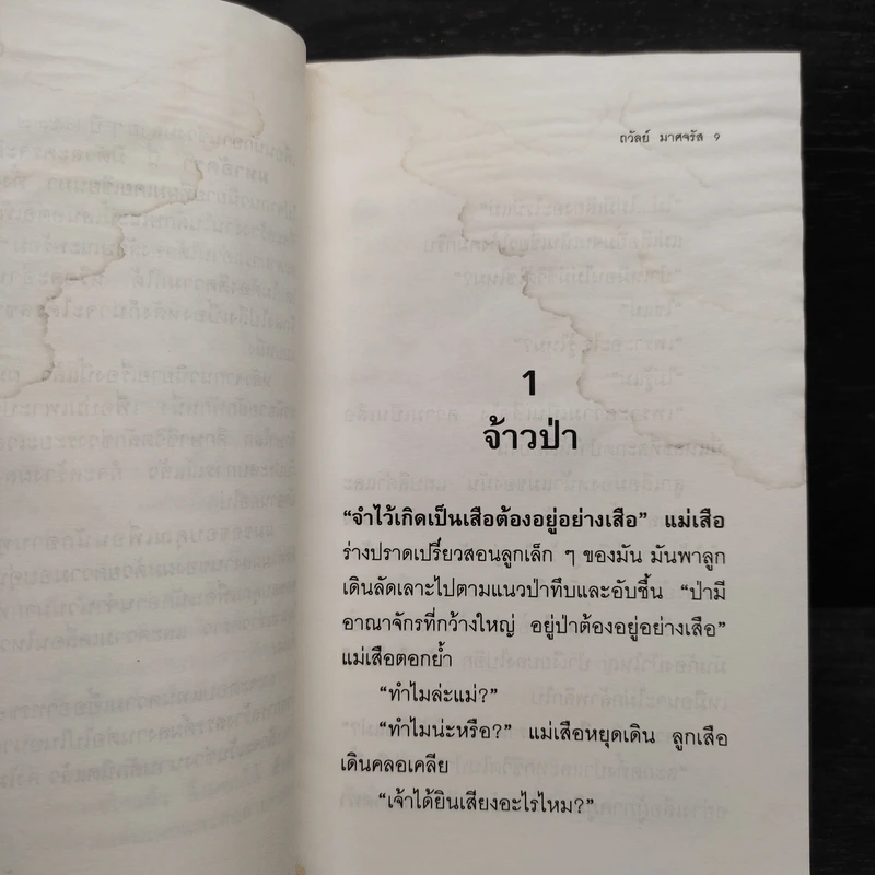 มหาอัครา - ถวัลย์ มาศจรัส รูปที่ 7