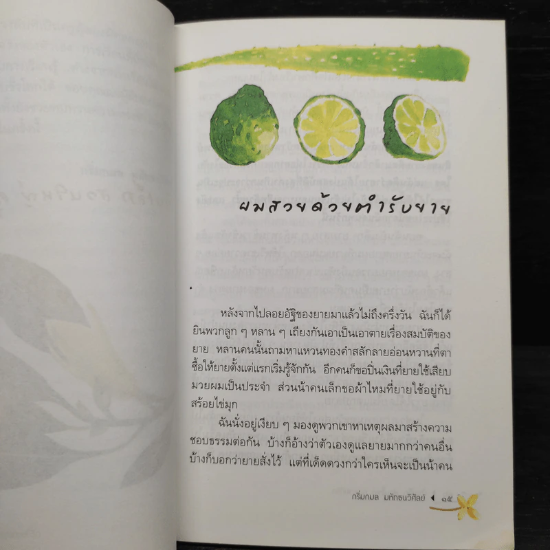 บ้านเล็ก สวนใหญ่ คุณยายที่รัก - กริ่มกมล มหัทธนวิศัลย์ รูปที่ 6