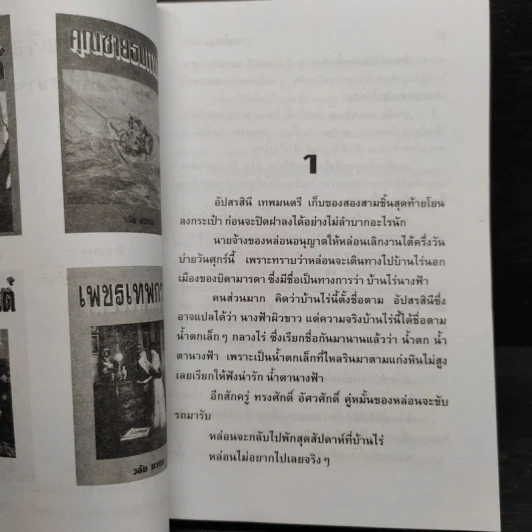 น้ำตานางฟ้า - จามรี พรรณชมพู รูปที่ 5