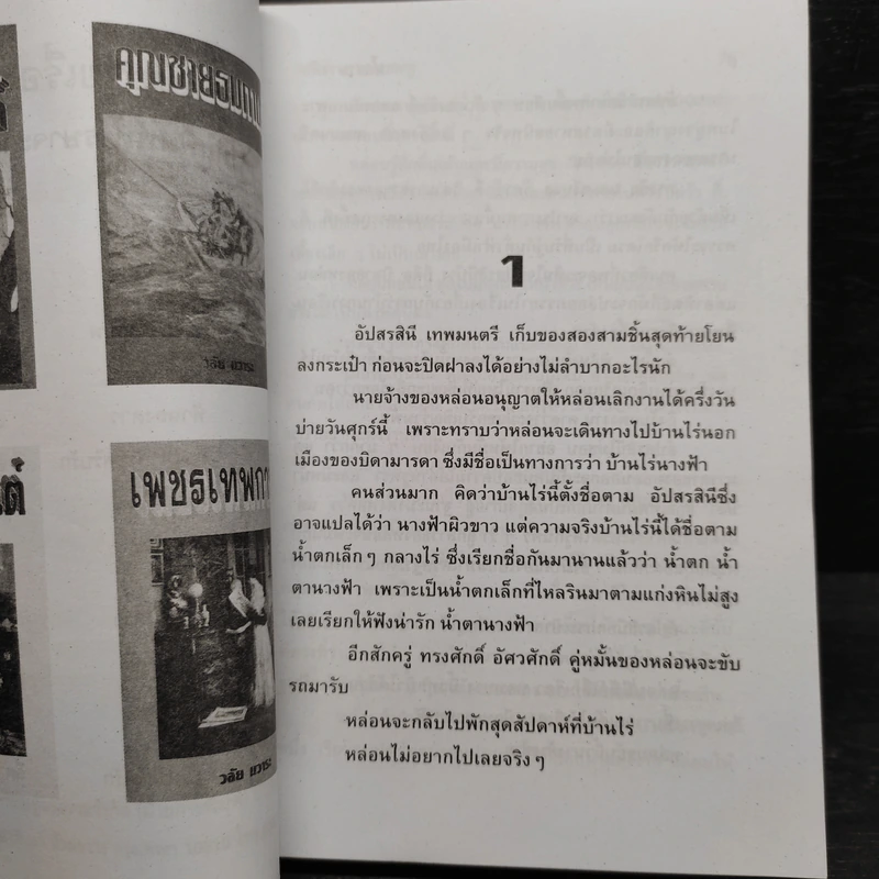 น้ำตานางฟ้า - จามรี พรรณชมพู รูปที่ 5