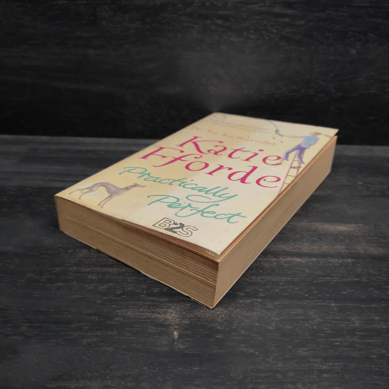 Practically Perfect - Katie Fforde รูปที่ 4