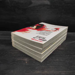 ตุ๊กตาพันธุ์โหด เล่ม 1-4 รูปที่ 3