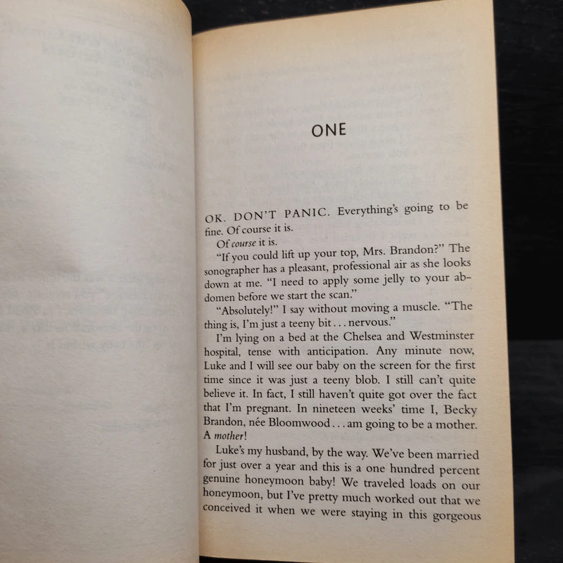 Shopaholic & Baby - Sophie Kinsella รูปที่ 5