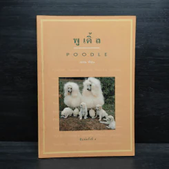 พูเดิ้ล Poodle - วรรณ พิรุณ รูปที่ 1