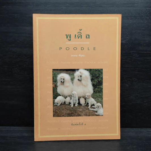 พูเดิ้ล Poodle - วรรณ พิรุณ รูปที่ 1