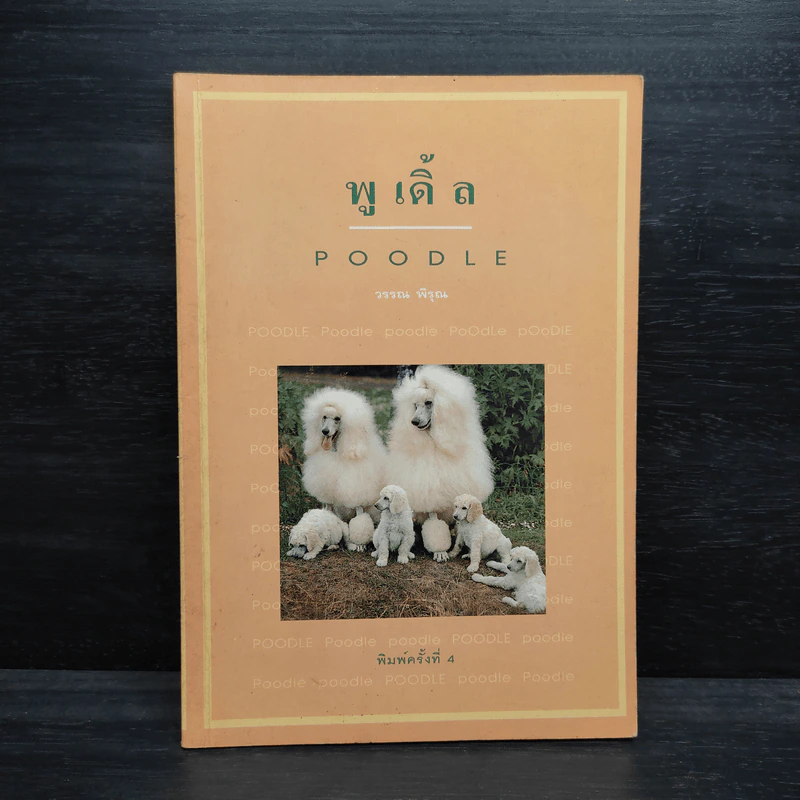 พูเดิ้ล Poodle - วรรณ พิรุณ รูปที่ 1