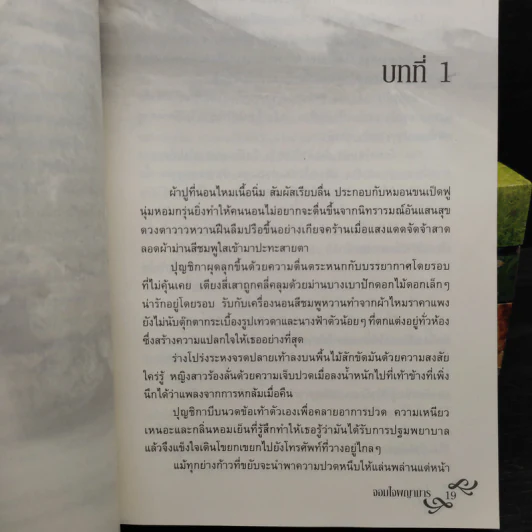 นวนิยายชุดอุ่นไอรัก 5 เล่ม - โรสิตา รูปที่ 7