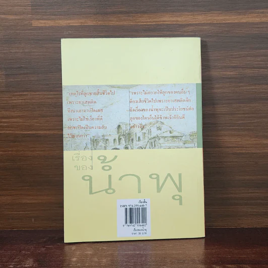 เรื่องของน้ำพุ - วงศ์เมือง นันทขว้าง รูปที่ 6